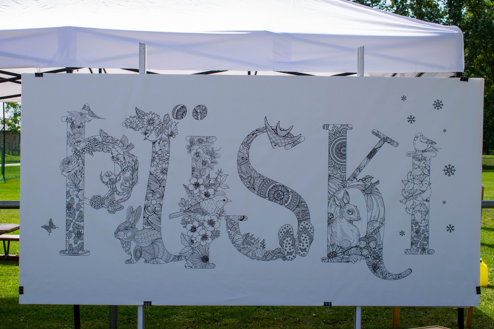 301510477_932261904381288_8048254406681733461_n